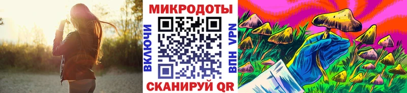 наркотики  Инсар  Галлюциногенные грибы мицелий 